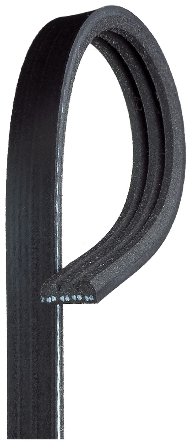 serpentine-beltimage-K030195-K030195SF-K030196SF.jpg
