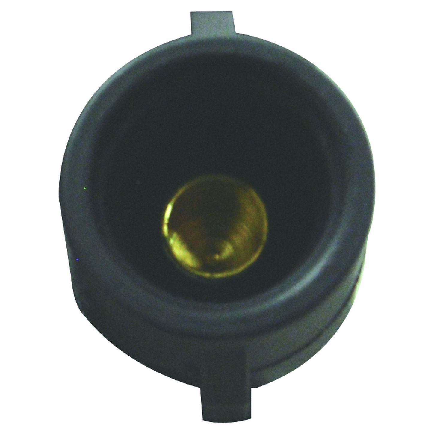 CUF181 P2
