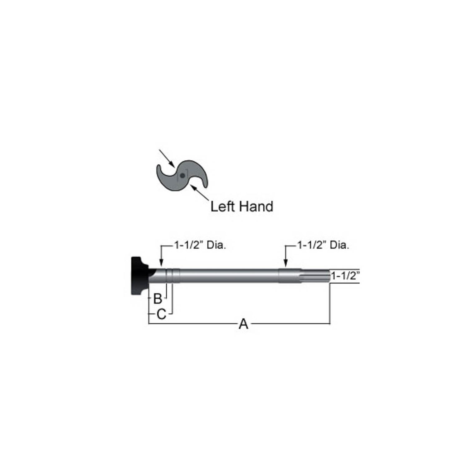 CS41328.jpg