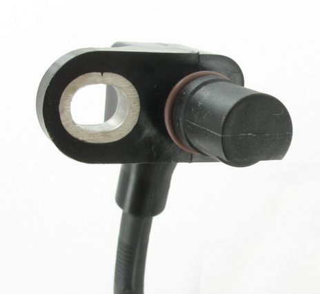 SC808_2.JPG