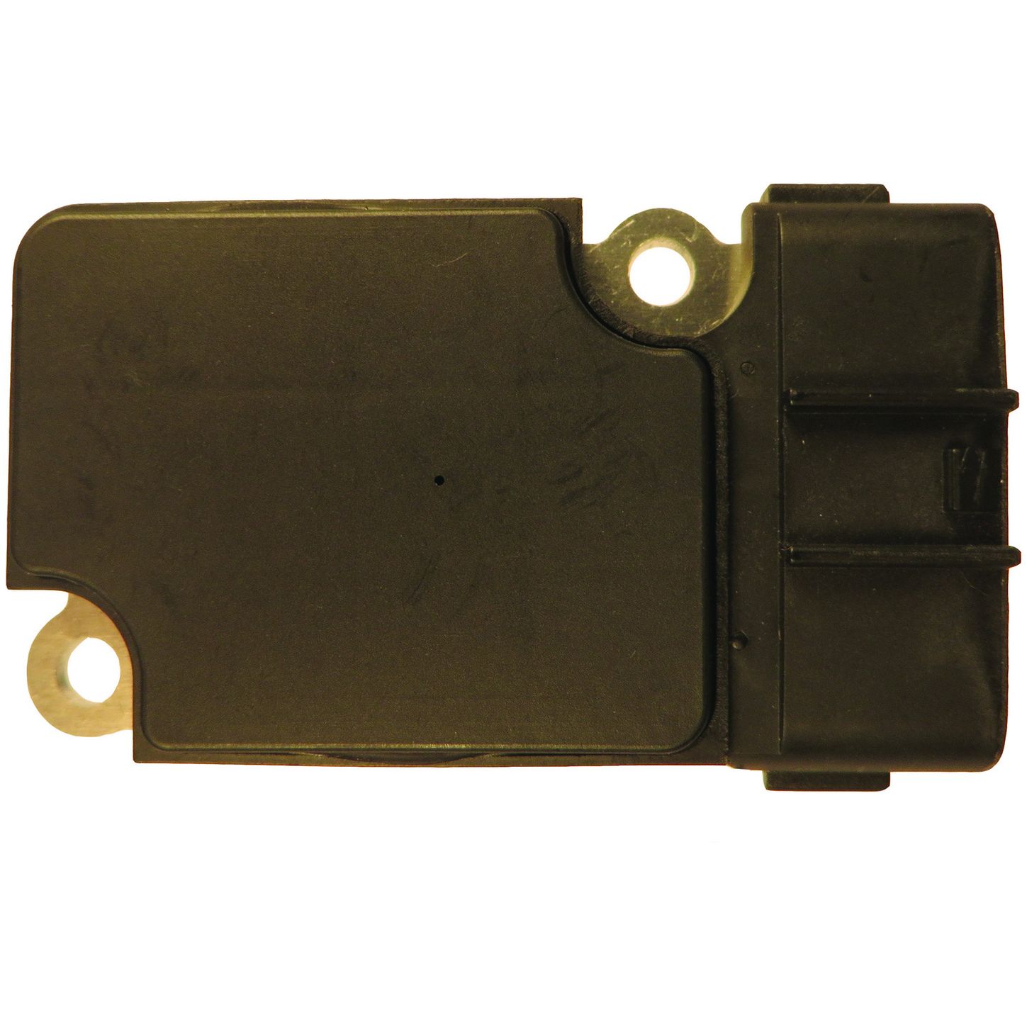 MAF10146 BAC