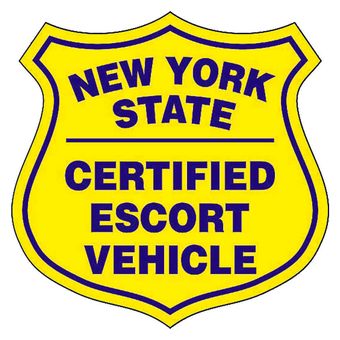 NYS101-D