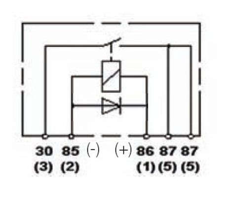 933791091.PT50.jpg