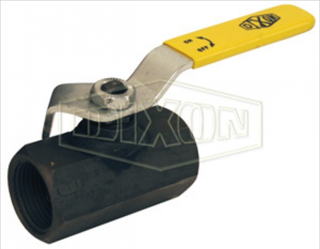IBV25