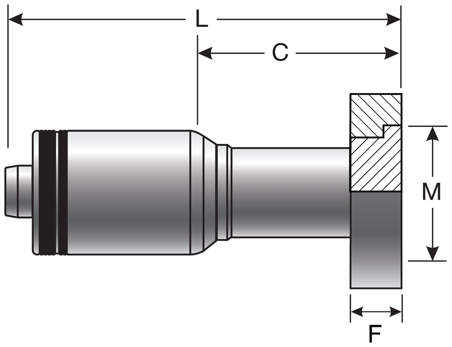 G243742424-3_SID_R.jpg