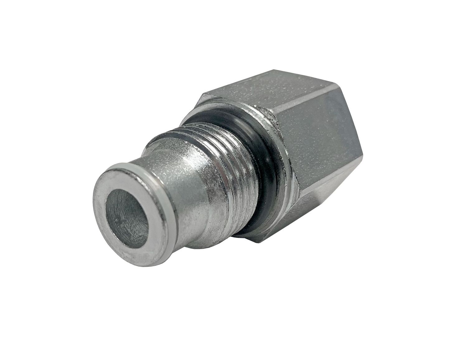 PB-HCV-13 1