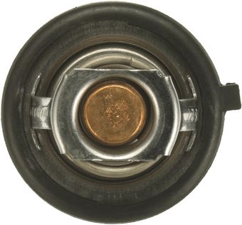 34078-3_BOT_A.jpg