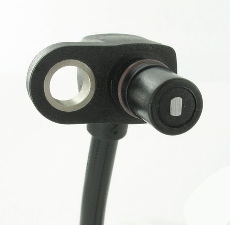 SC491_2.JPG