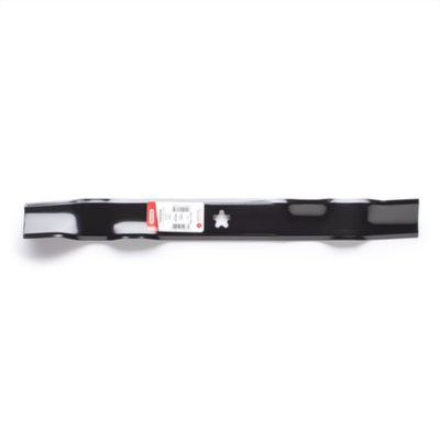 Oregon 195-019 BLADE AYP 21 IN1