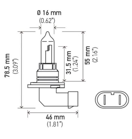 H71070582.PT01.jpg