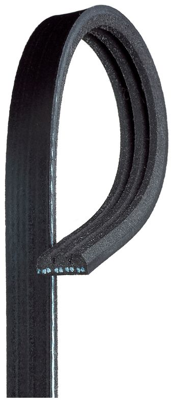 K030311SF-1_TOP_R.jpg