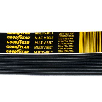 8PK-Close-Up-Belt-2