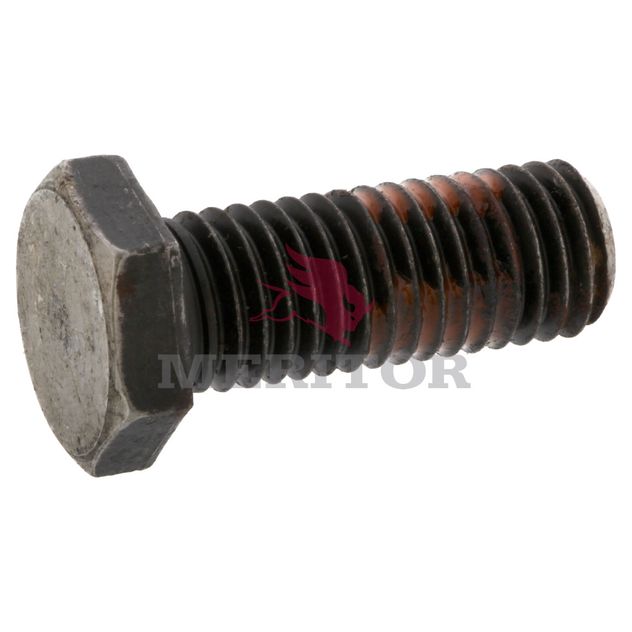 10X1250 photo front 1158