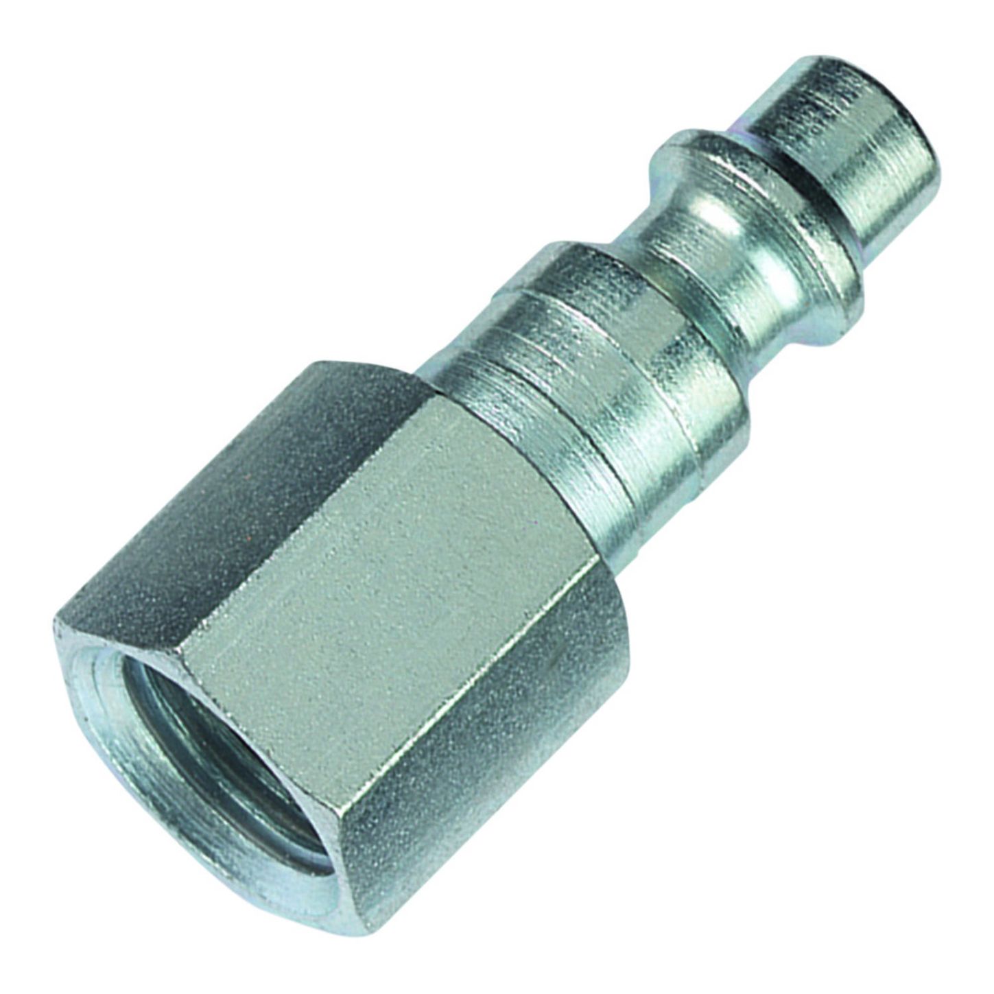 AMFLCP2023_1_x-large.jpg