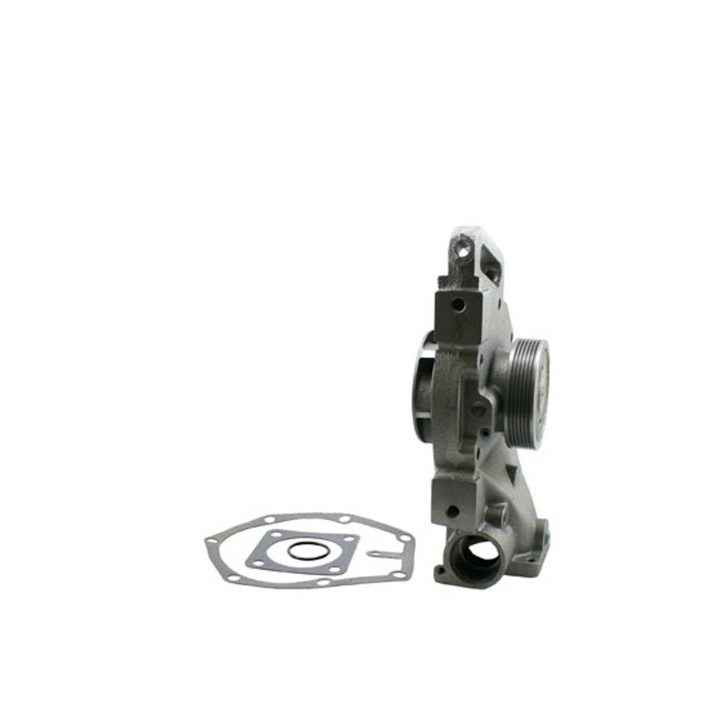 RW1172.jpg