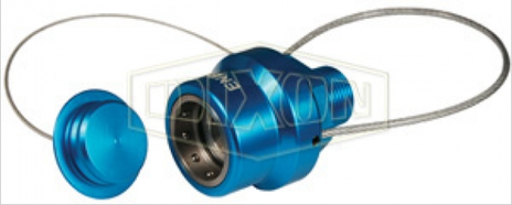 ENBL-P3