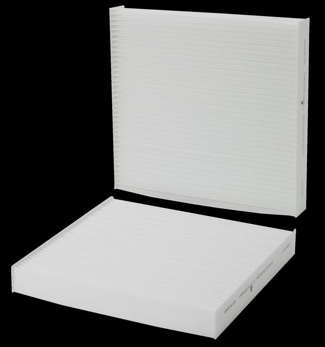 WP10410.jpg