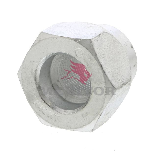 R005995R photo front 113271