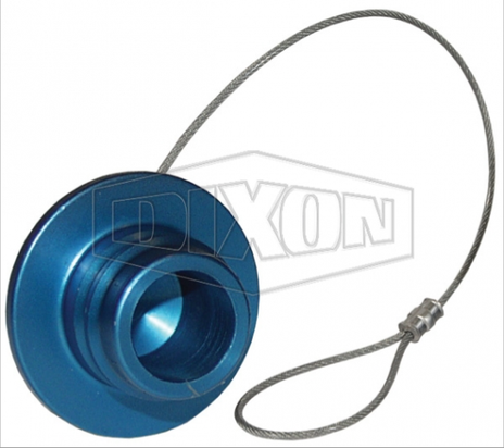 R-CN-PLUG