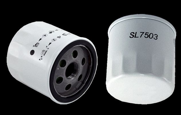WL7503.jpg