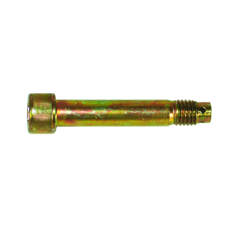 S-21319 v1