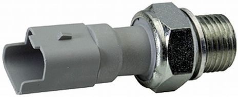 009600041.MAIN.jpg