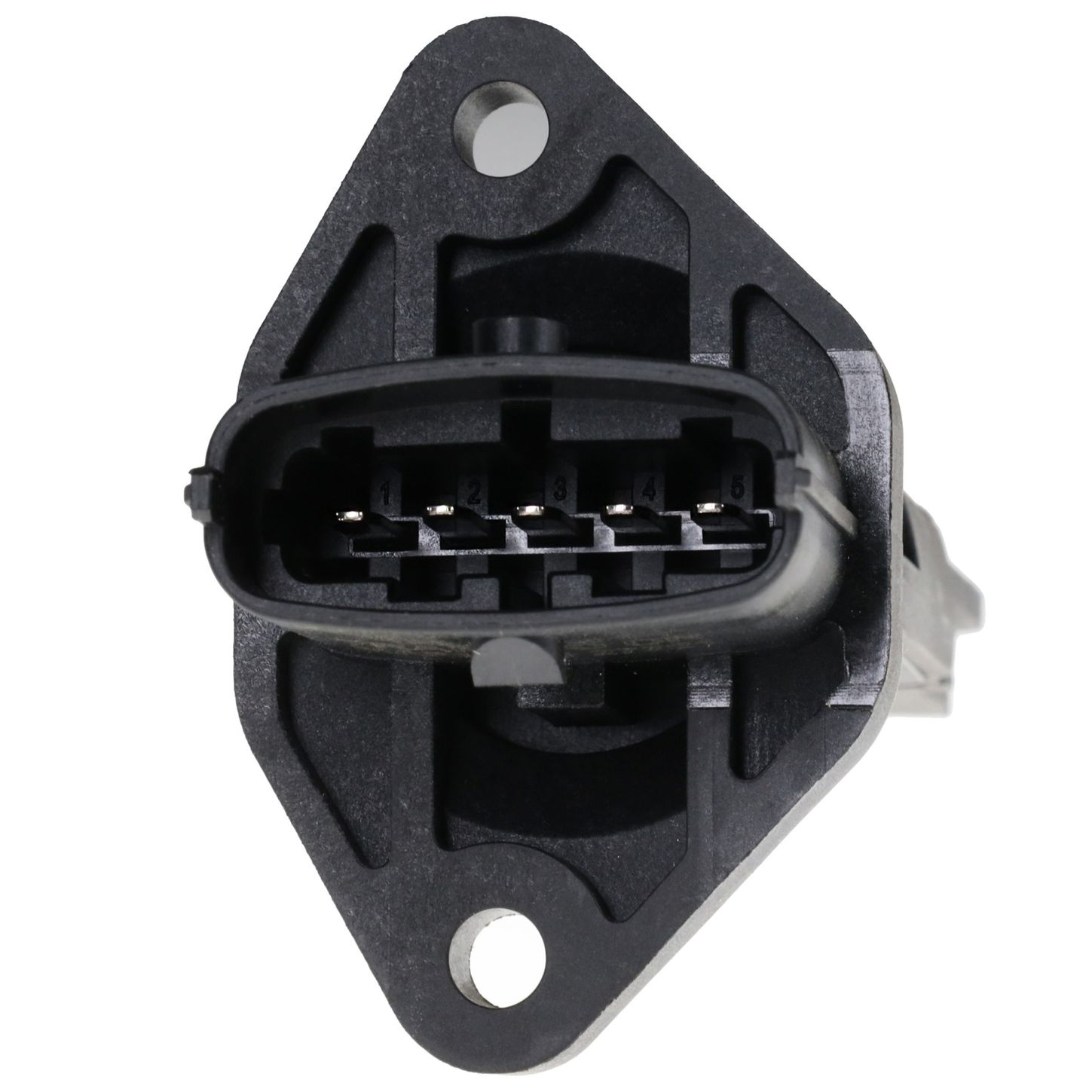 MAF10161 FRO