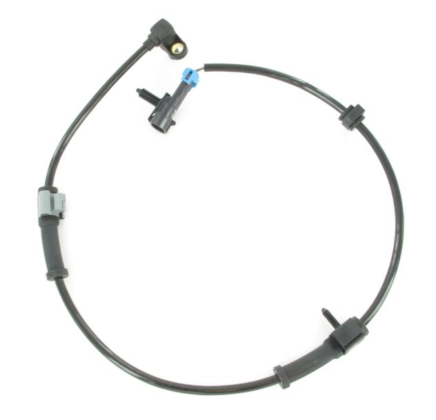 SC304_1.JPG