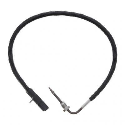 050616OEM 01