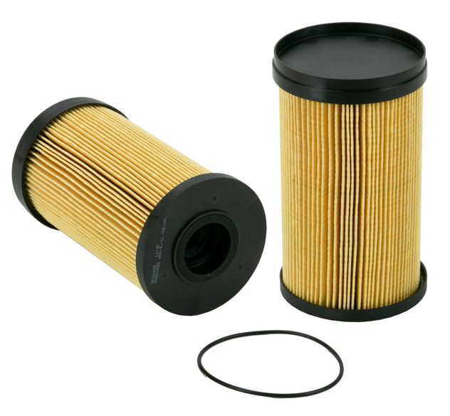 WF10499.jpg