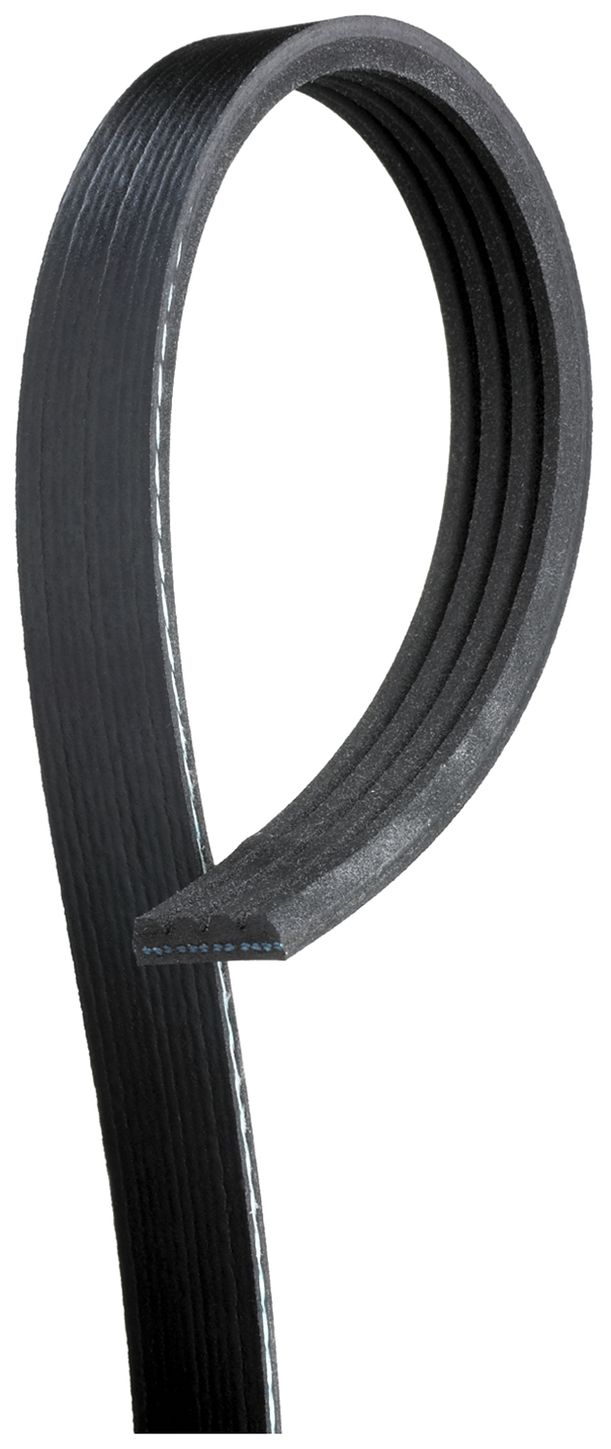 serpentine-beltimage-K040331SF-K040372SF.jpg