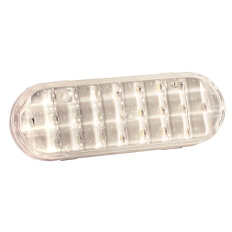 back-up-light-assembly-62561.jpg