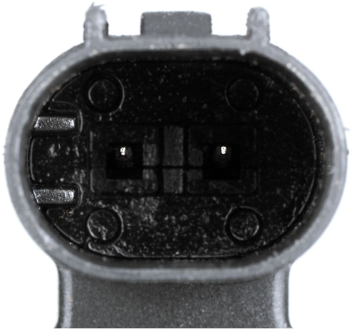 CO35005-4_CON_A.jpg