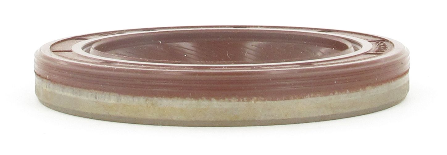 13771_3.JPG