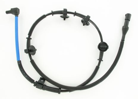 SC342_1.JPG
