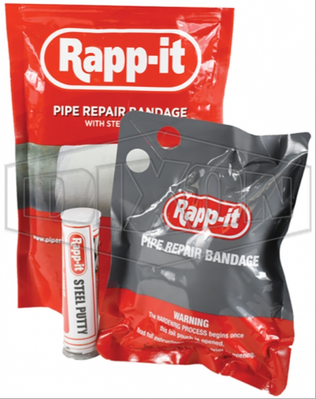 RAP304