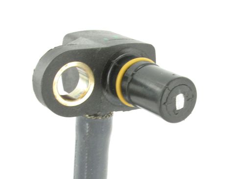 SC3523_2.JPG