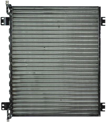 6204