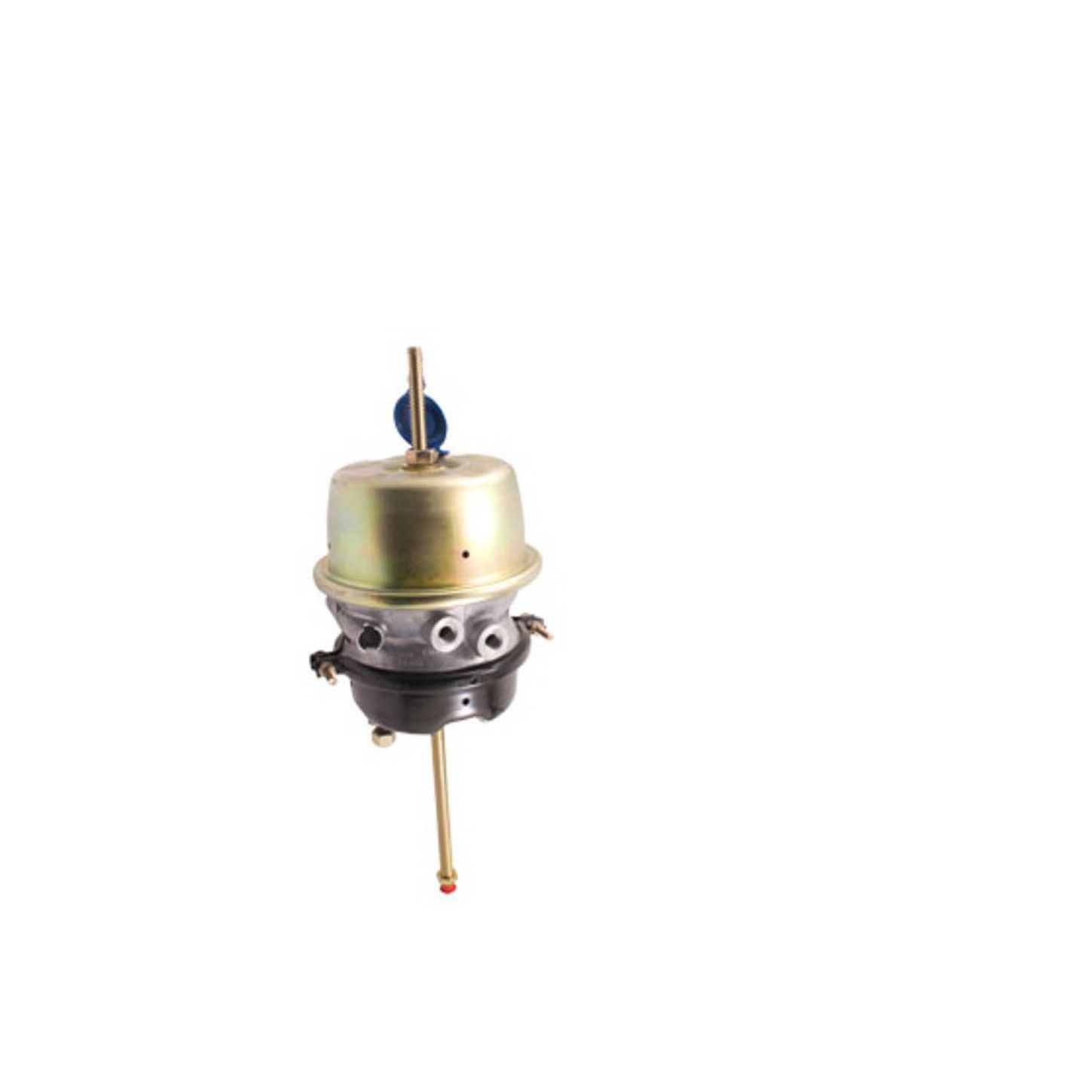 GC3036.jpg