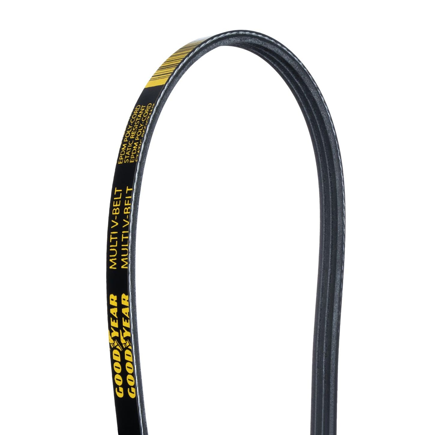 3PK-Close-Up-Belt-Backside