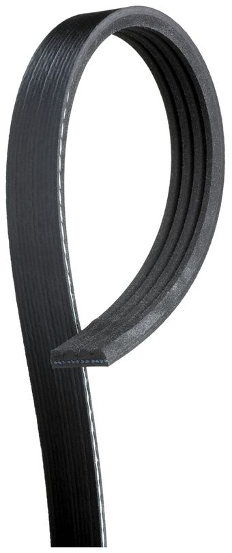 serpentine-beltimage-K040331SF-K040372SF.jpg