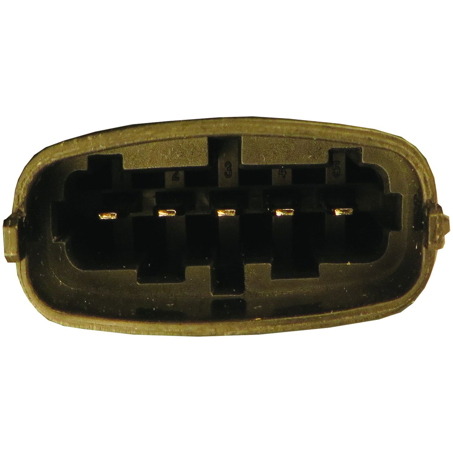 MAF10246 5