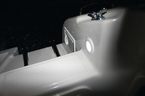 980500041.PT39.jpg