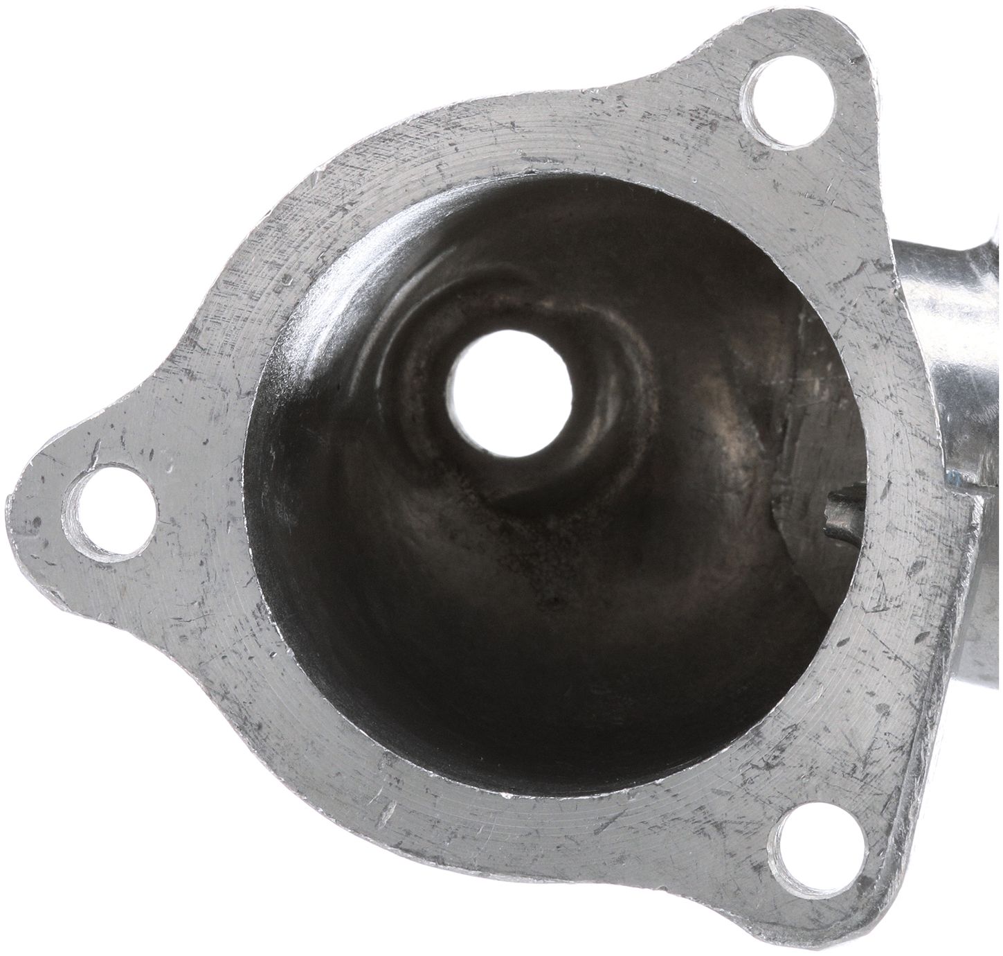 CO34992-3_BOT_A.jpg