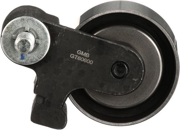 T43197-2_BAC_A.jpg