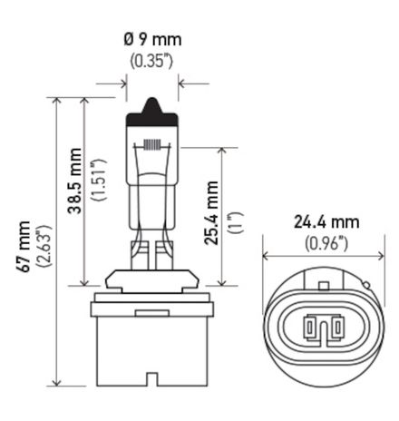 H71071192.PT01.jpg