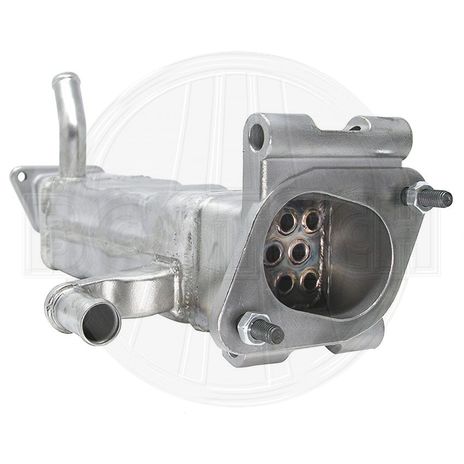 EGR101441R 2