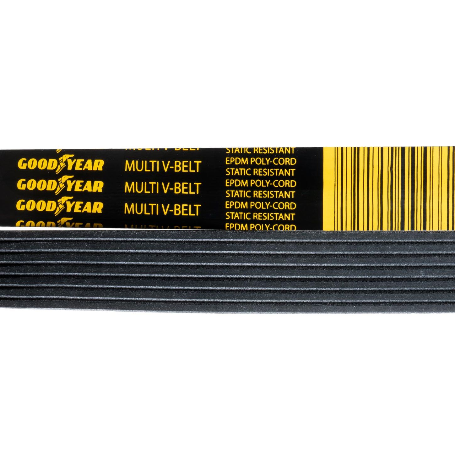 7PK-Close-Up-Belt-2