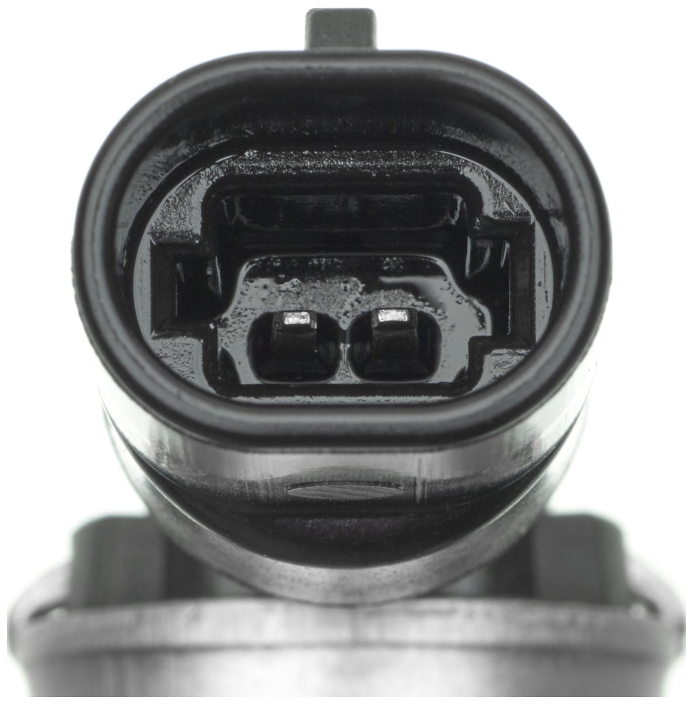 VVS178-3_CON_A.jpg