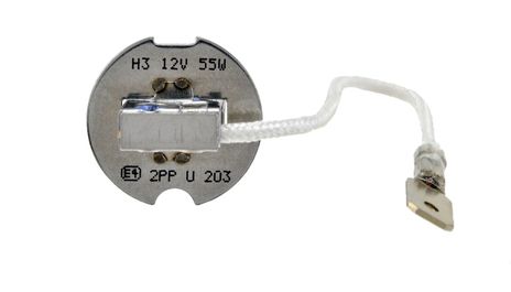 H71071312.BOTT.jpg